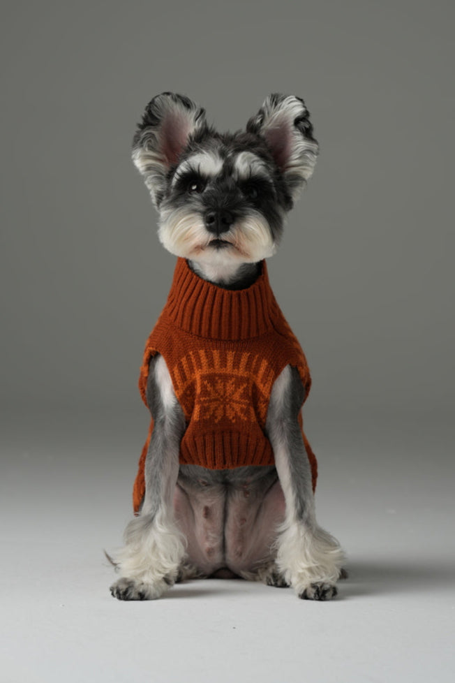 Pretzel Pet Sweater Tofee Orange Dog Sweaters Premium Pet - detail view