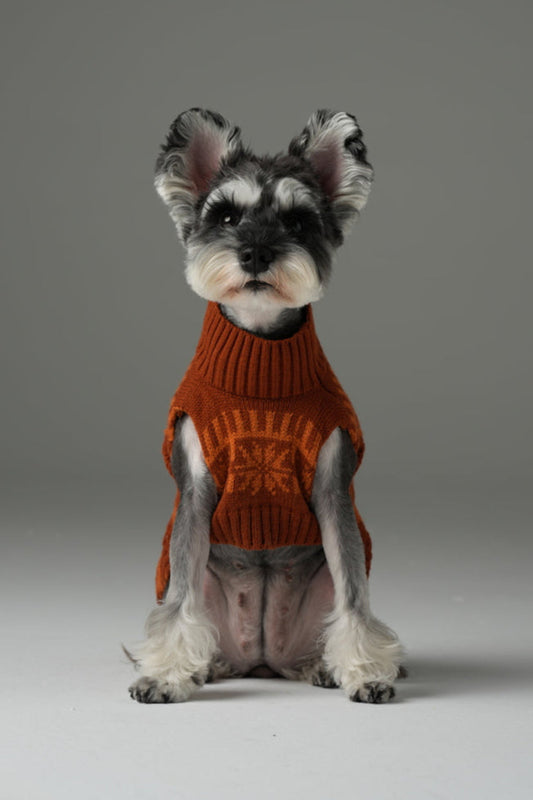 Pretzel Pet Sweater Tofee Orange Dog Sweaters Premium Pet - detail view