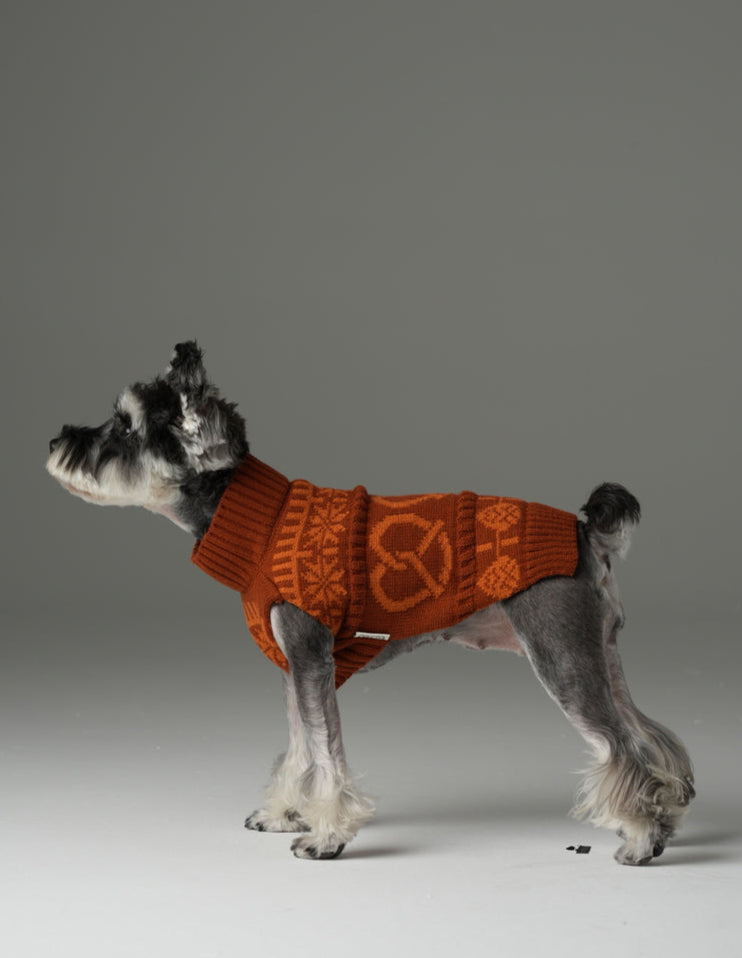 Pretzel Pet Sweater Tofee Orange Dog Sweaters Premium Pet - lifestyle view