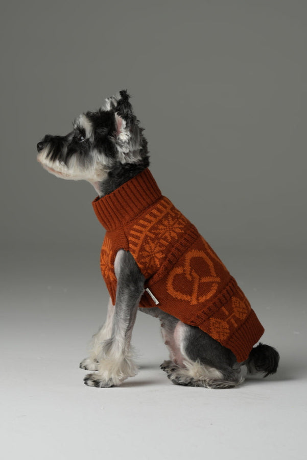 Pretzel Pet Sweater Tofee Orange Dog Sweaters Premium Pet - close up view