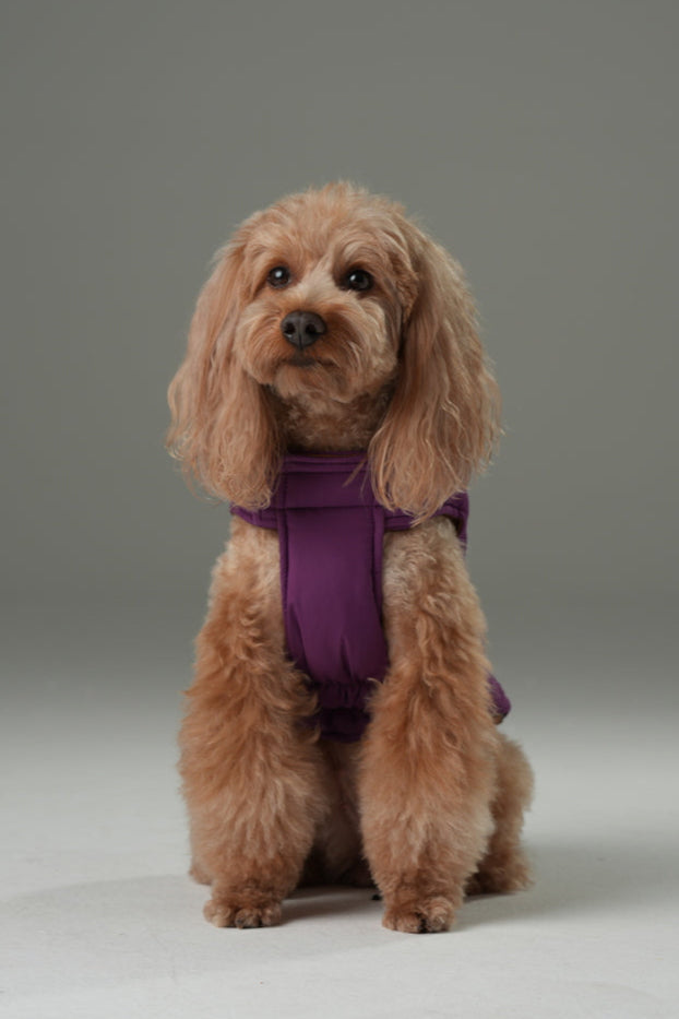 Reversible Dog Vest Jacket Purple Caramel Dog Apparel Pet - close up view