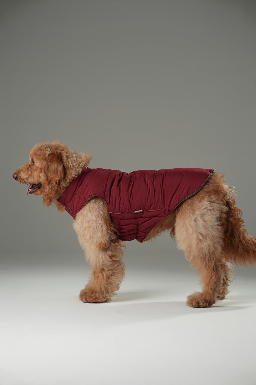 Reversible Dog Vest Jacket Red Brown Dog Apparel Premium Pet - gallery image 11