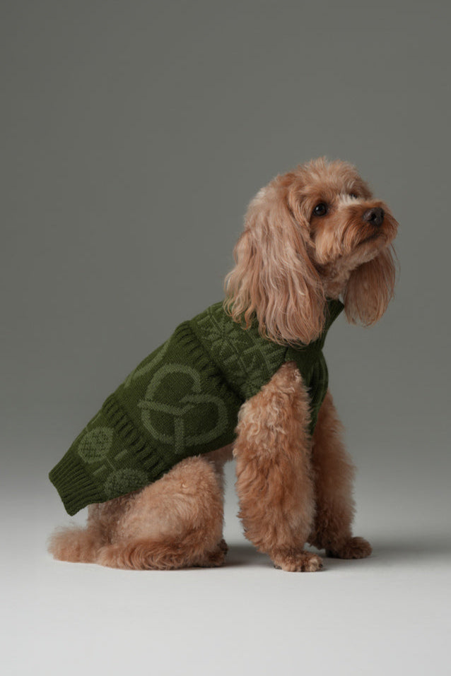 Pretzel Pet Sweater Olive Green Dog Sweaters Premium Pet - close up view