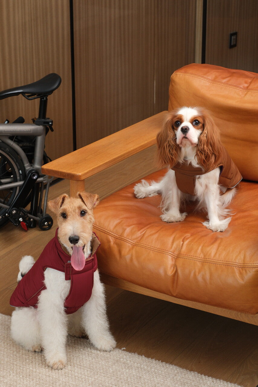 Reversible Dog Vest Jacket Red Brown Dog Apparel Premium Pet - gallery image 15