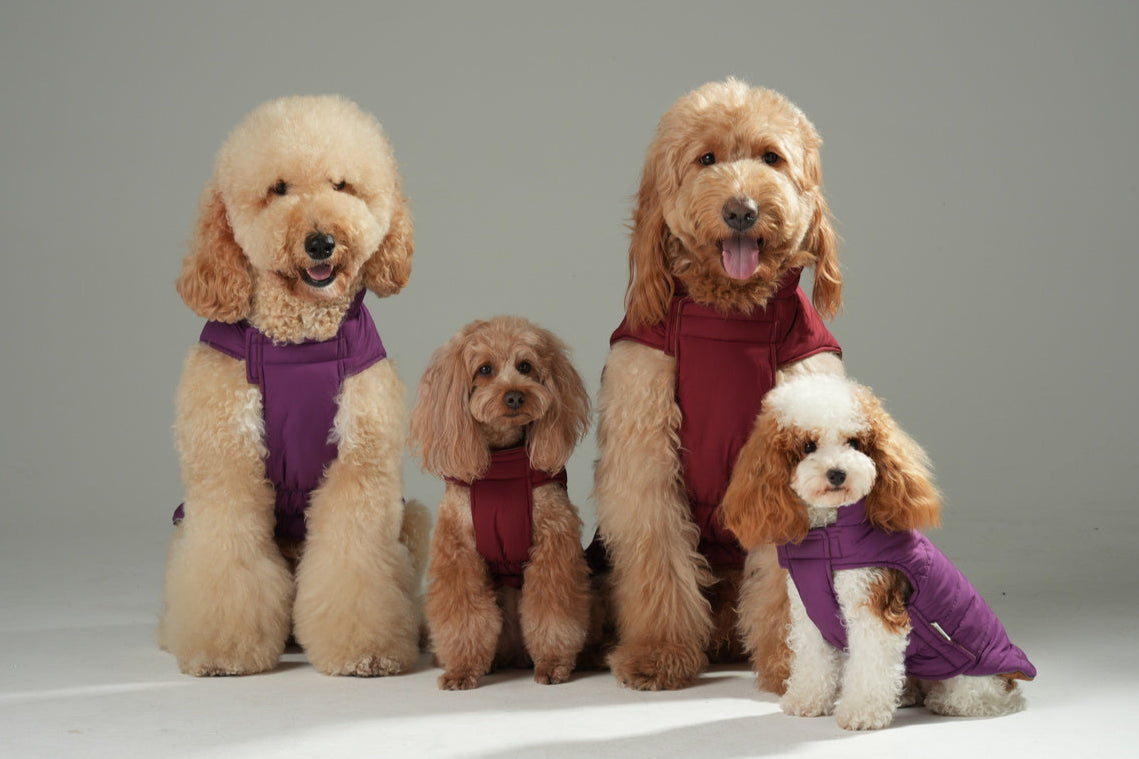 Reversible Dog Vest Jacket Red Brown Dog Apparel Premium Pet - gallery image 12
