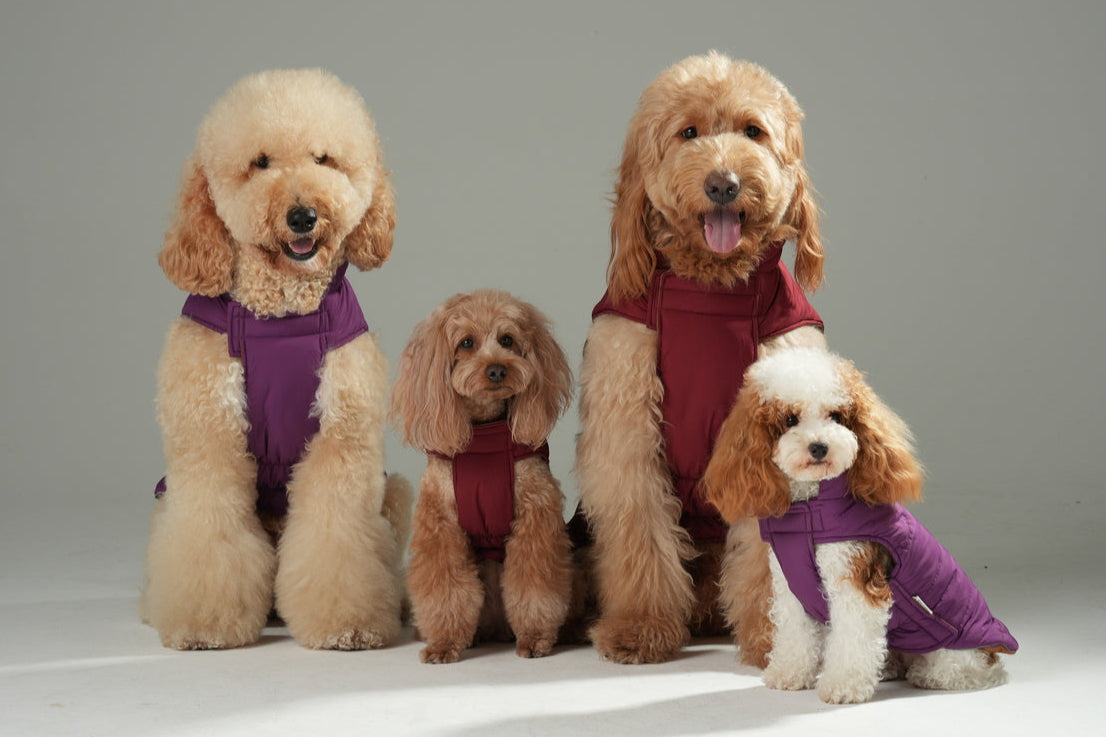 Reversible Dog Vest Jacket Purple Caramel Dog Apparel Pet - gallery image 8