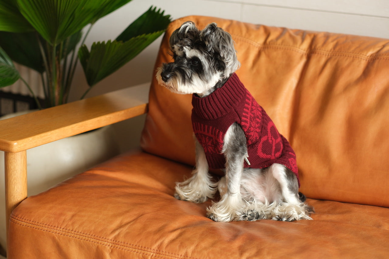 Pretzel Pet Sweater Burgundy Red Dog Sweaters Premium Pet - gallery image 8