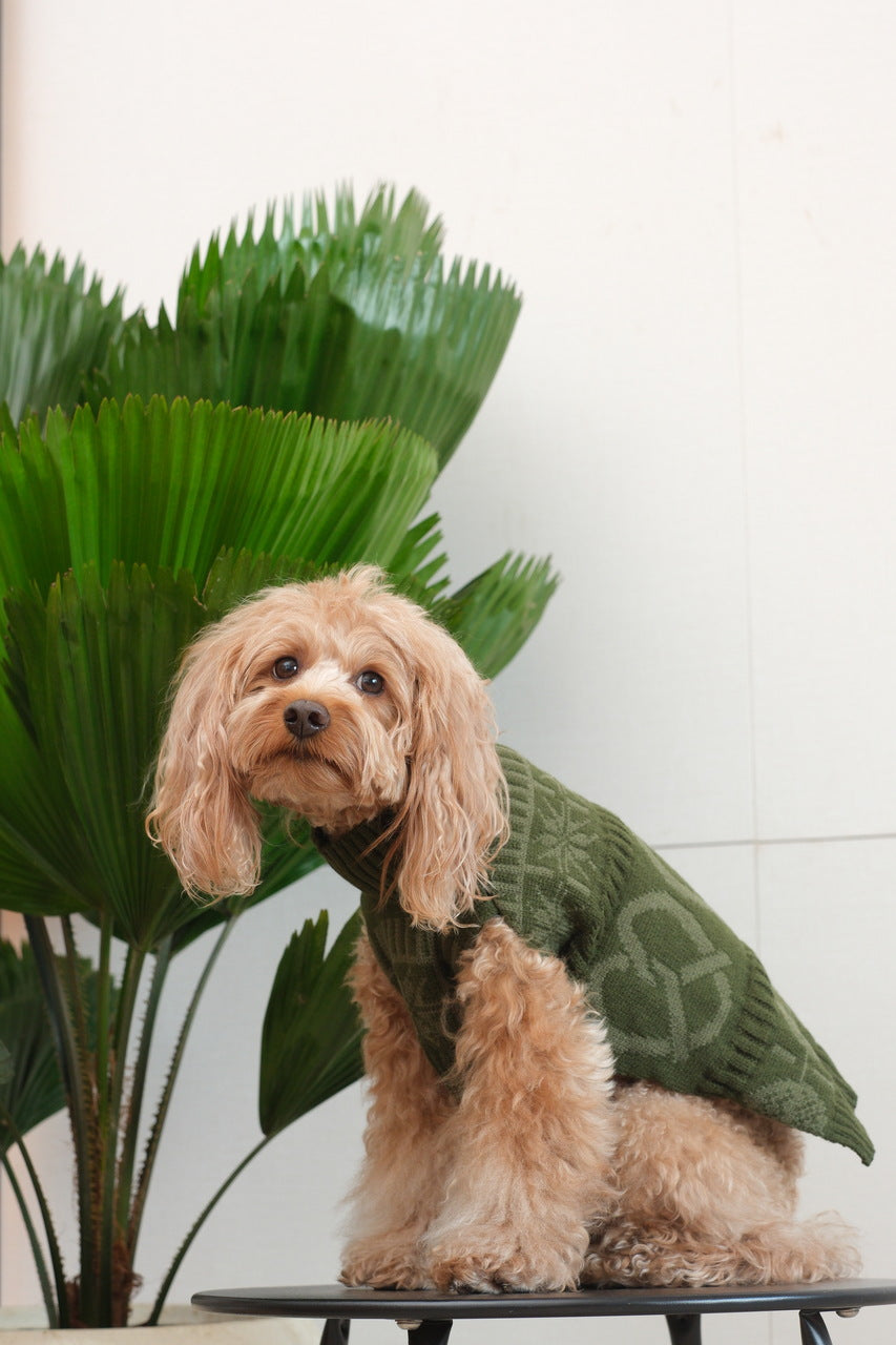 Pretzel Pet Sweater Olive Green Dog Sweaters Premium Pet - gallery image 6