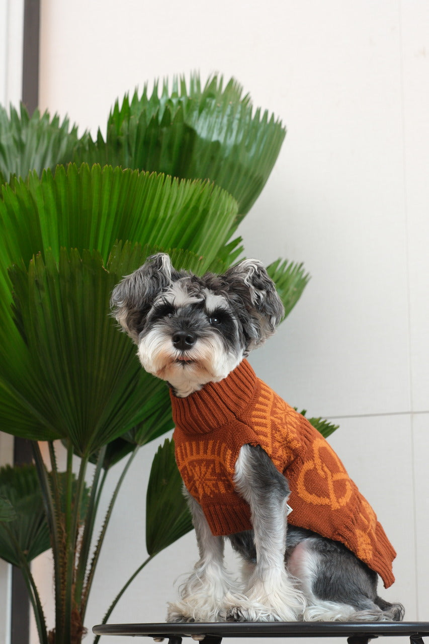 Pretzel Pet Sweater Tofee Orange Dog Sweaters Premium Pet - gallery image 6