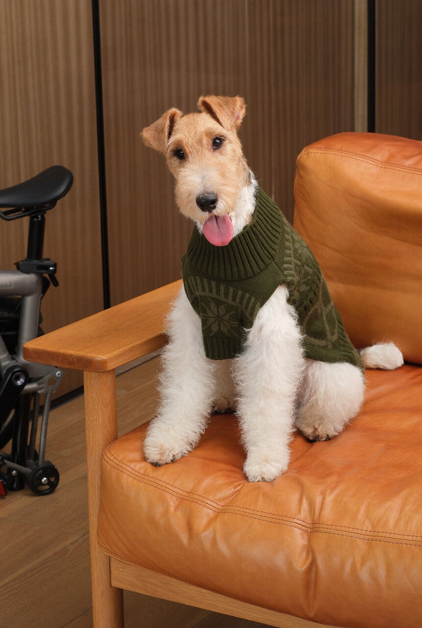 Pretzel Pet Sweater Olive Green Dog Sweaters Premium Pet - gallery image 7