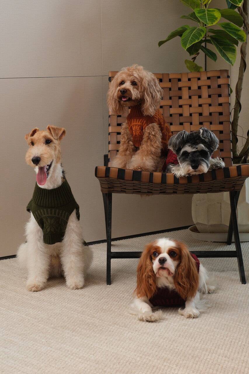 Pretzel Pet Sweater Olive Green Dog Sweaters Premium Pet - gallery image 8