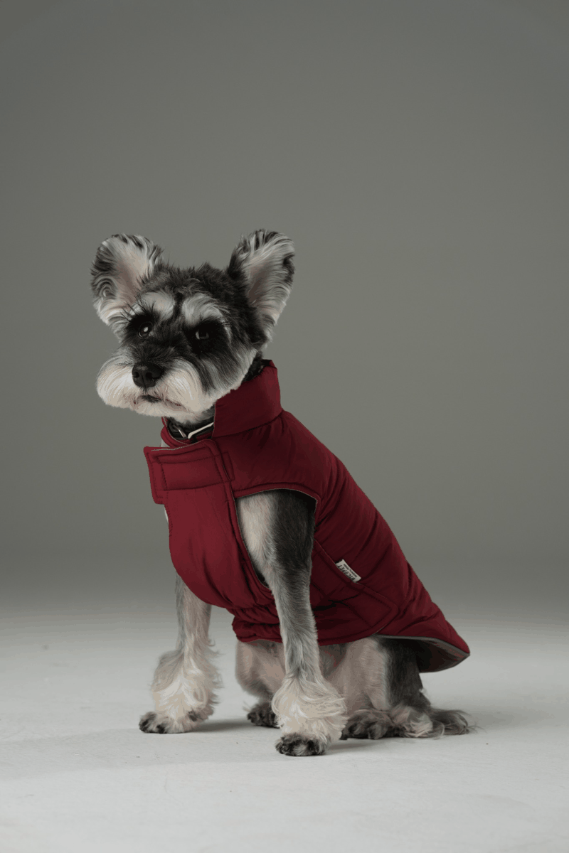 Reversible Dog Vest Jacket Red Brown Dog Apparel Premium Pet - lifestyle view