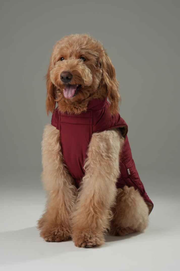 Reversible Dog Vest Jacket Red Brown Dog Apparel Premium Pet - gallery image 10