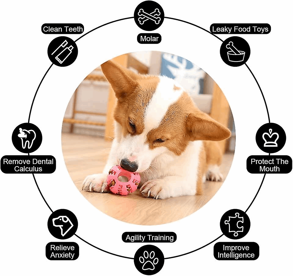 Dog Treat Toy Ball Dog Tooth Cleaning Toy Interactive Dog - gallery image 6