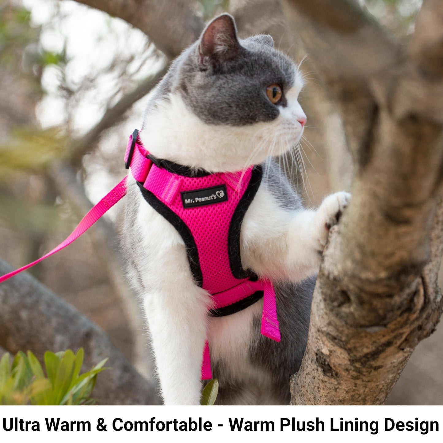 Mr. Peanut's PurrTrek Reflective Cat Harness with Matching Leash - gallery image 8
