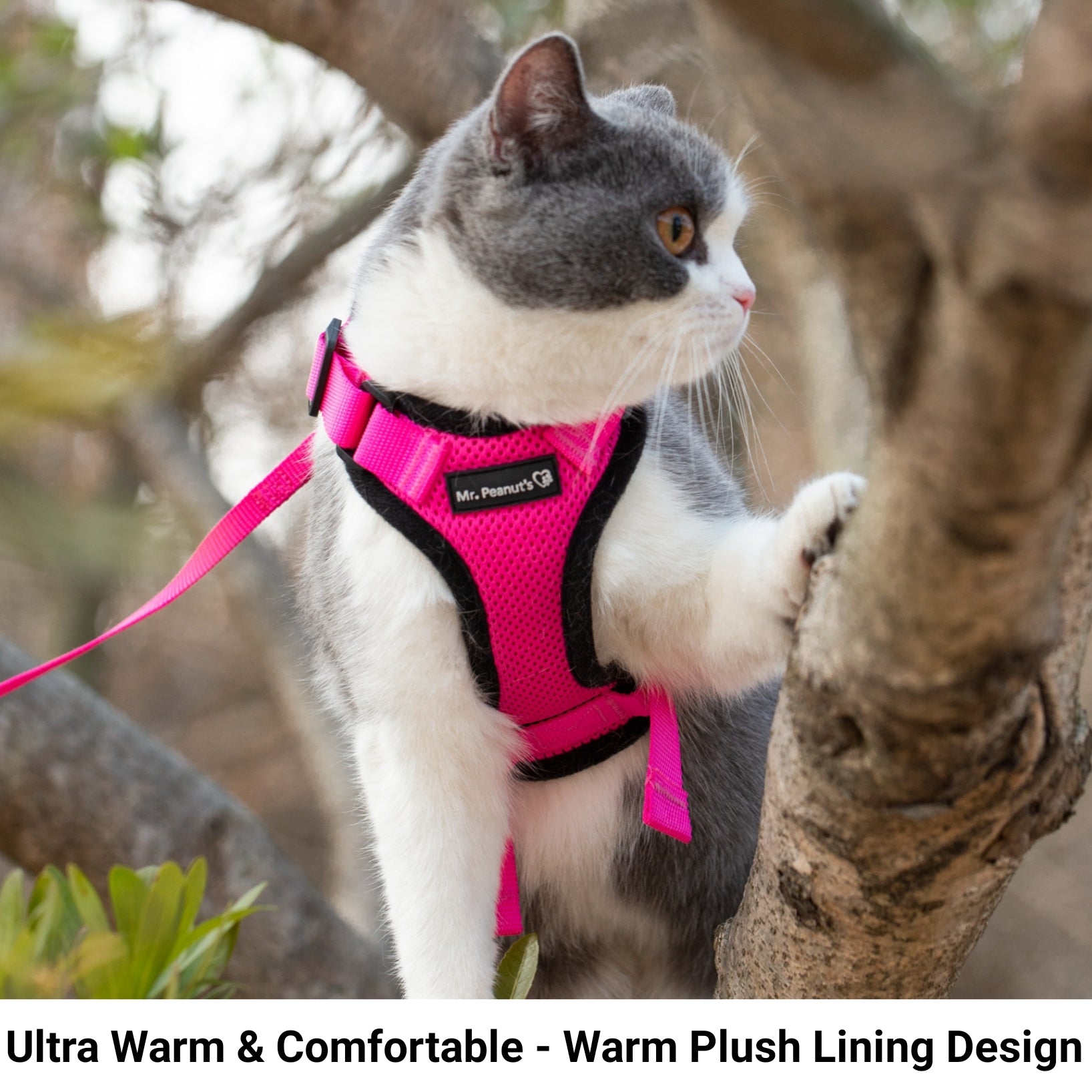 Mr. Peanut's PurrTrek Reflective Cat Harness with Matching Leash - gallery image 8