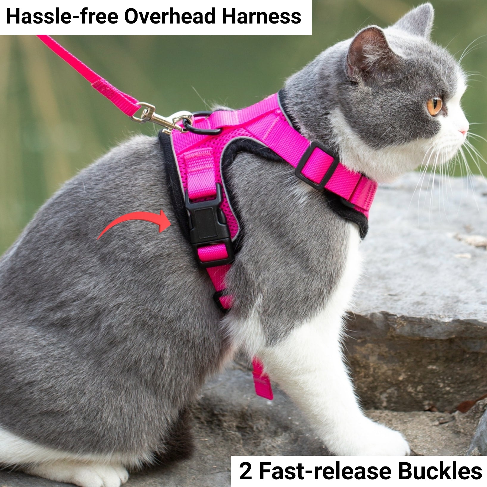 Mr. Peanut's PurrTrek Reflective Cat Harness with Matching Leash - lifestyle view