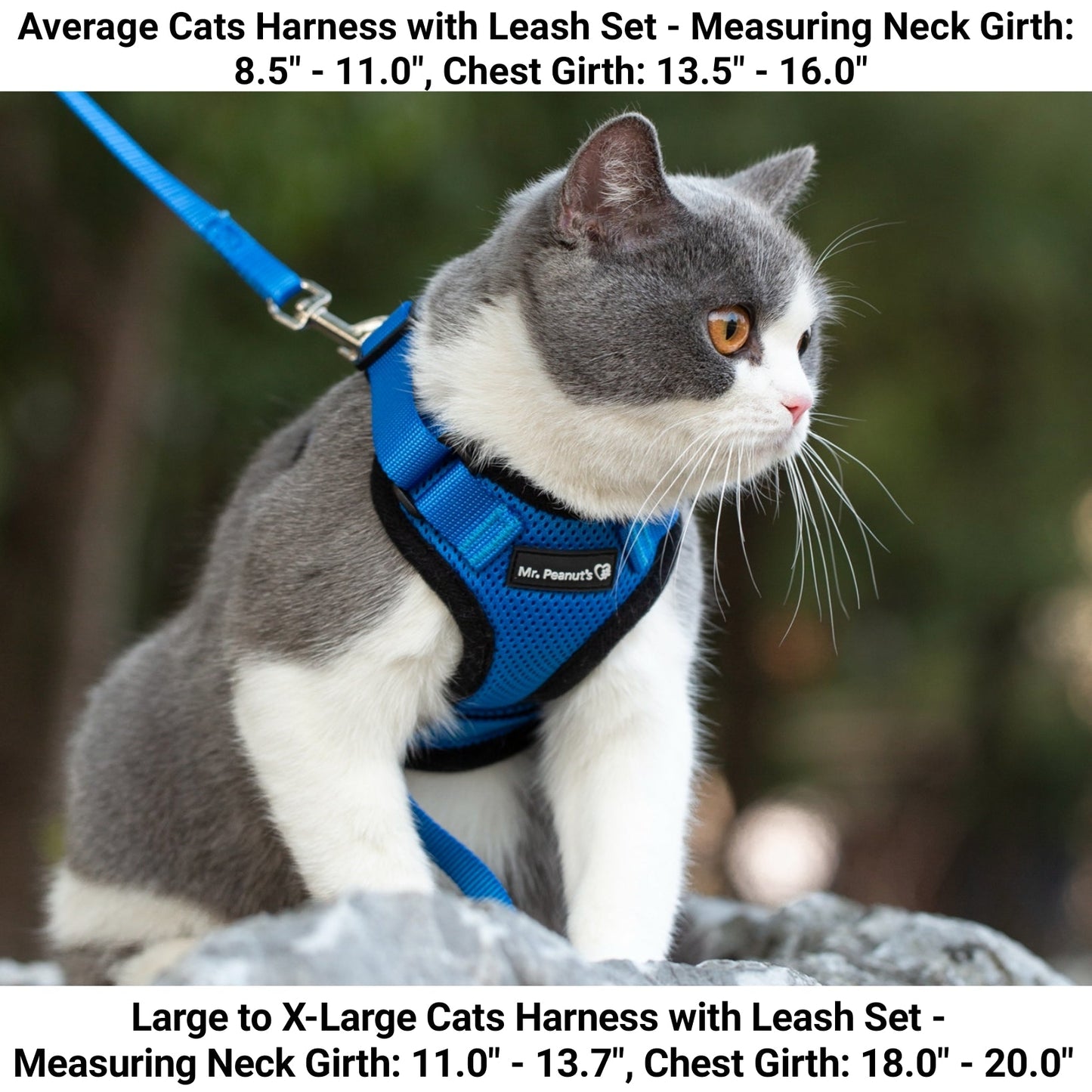 Mr. Peanut's PurrTrek Reflective Cat Harness with Matching Leash - gallery image 7