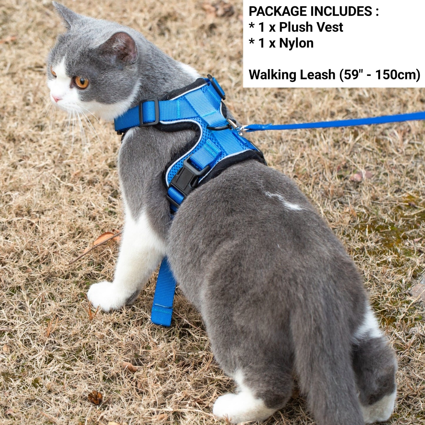 Mr. Peanut's PurrTrek Reflective Cat Harness with Matching Leash - close up view