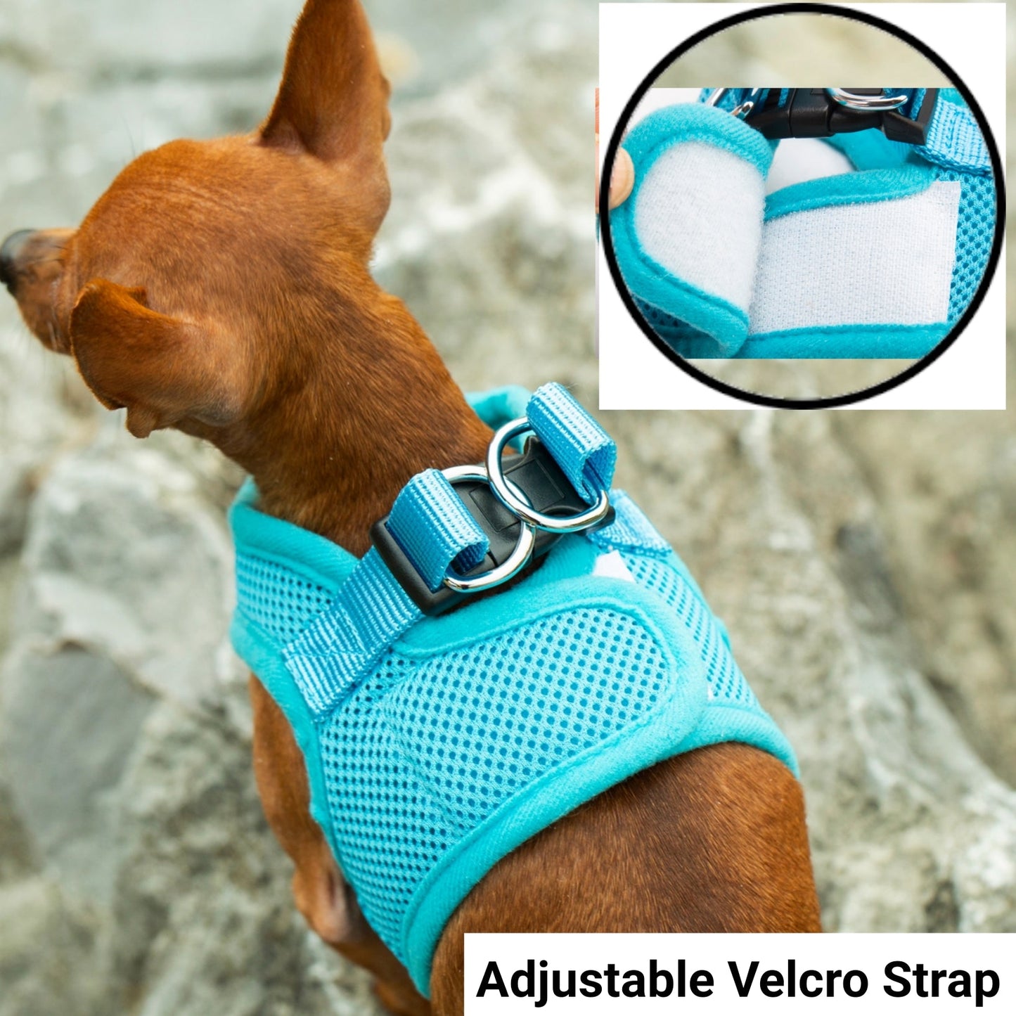 Mr. Peanut's PupTrek Soft Mesh Pet Harness with Matching Leash - Adjustable, Breathable, Choke-Free - gallery image 9