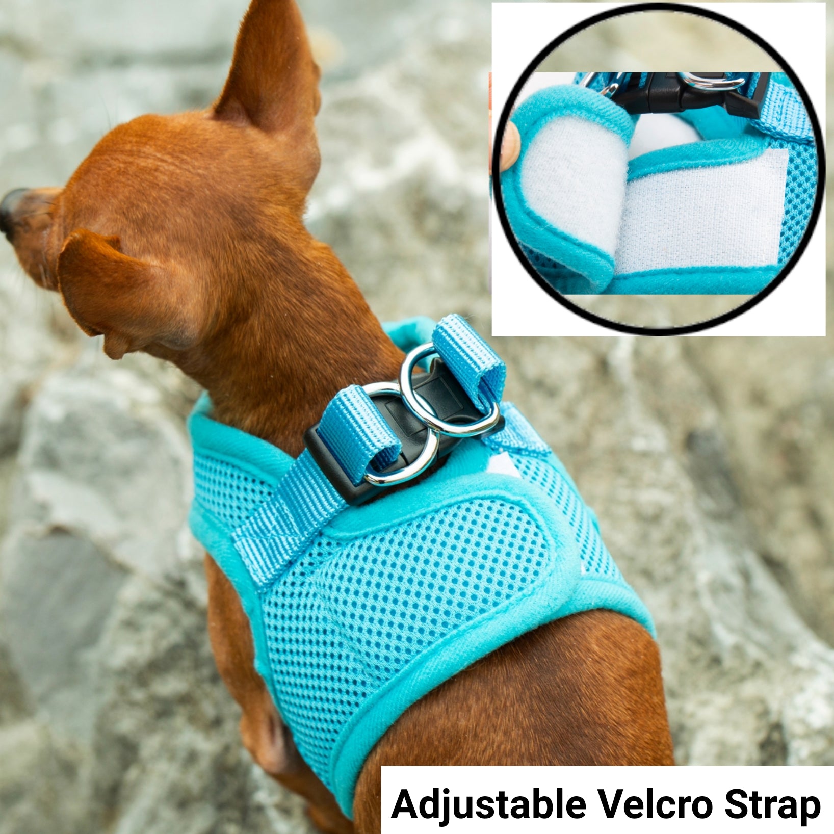 Mr. Peanut's PupTrek Soft Mesh Pet Harness with Matching Leash - Adjustable, Breathable, Choke-Free - gallery image 9