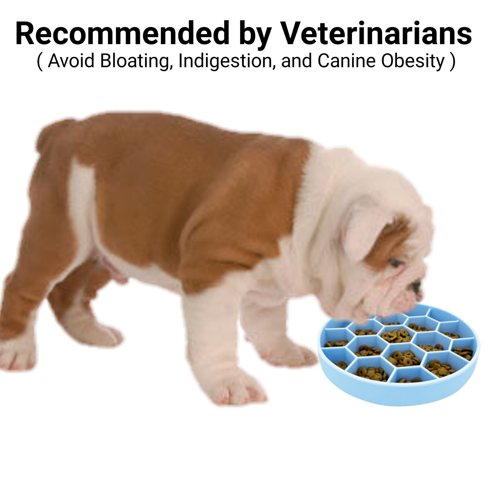 Mr. Peanut's Silicone Slow Feeder Dog Bowl - gallery image 5