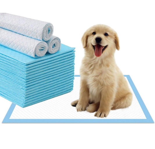 Mr. Peanut's Premium Absorbent Gel Pee Pads 23"X23", 6 Layers of Lightly Scented Protection - main product image