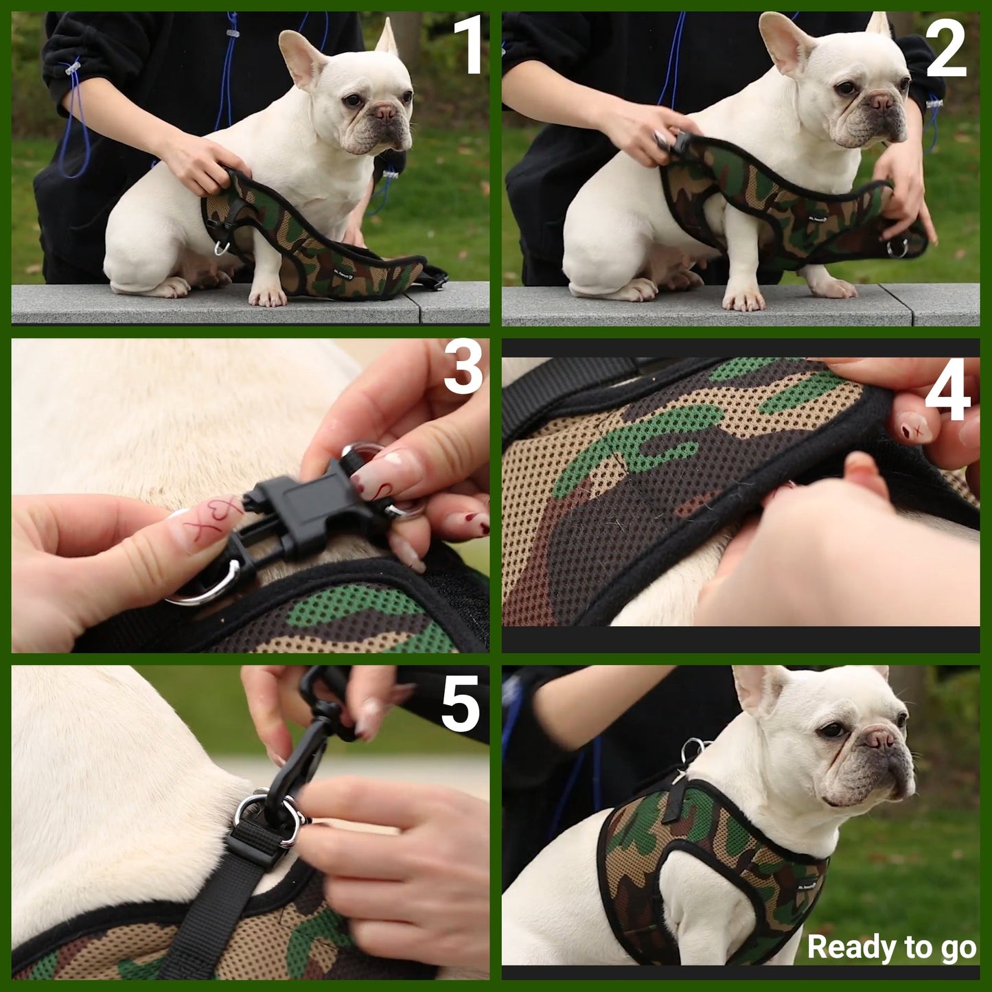 Mr. Peanut's PupTrek Soft Mesh Pet Harness with Matching Leash - Adjustable, Breathable, Choke-Free - gallery image 6