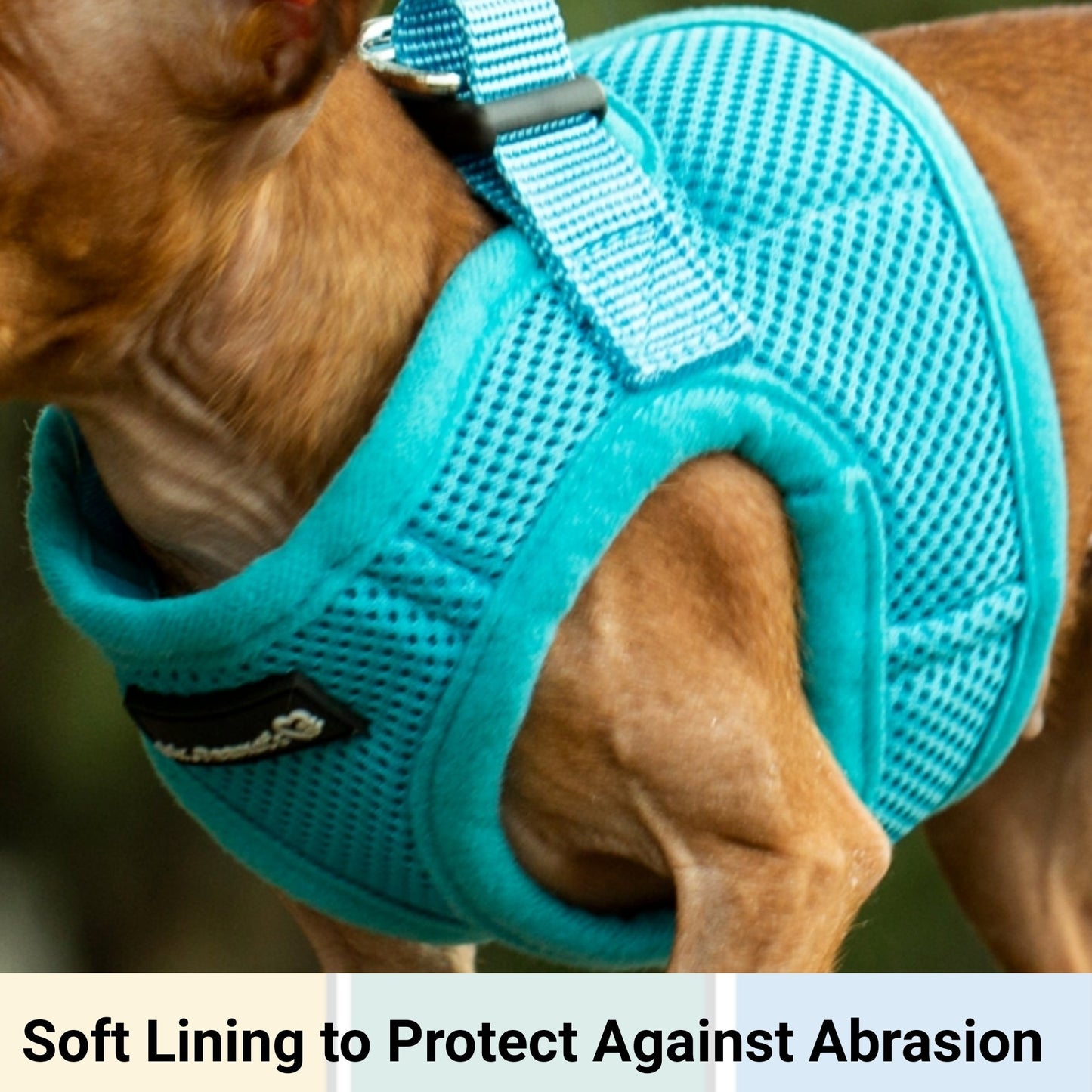 Mr. Peanut's PupTrek Soft Mesh Pet Harness with Matching Leash - Adjustable, Breathable, Choke-Free - gallery image 12