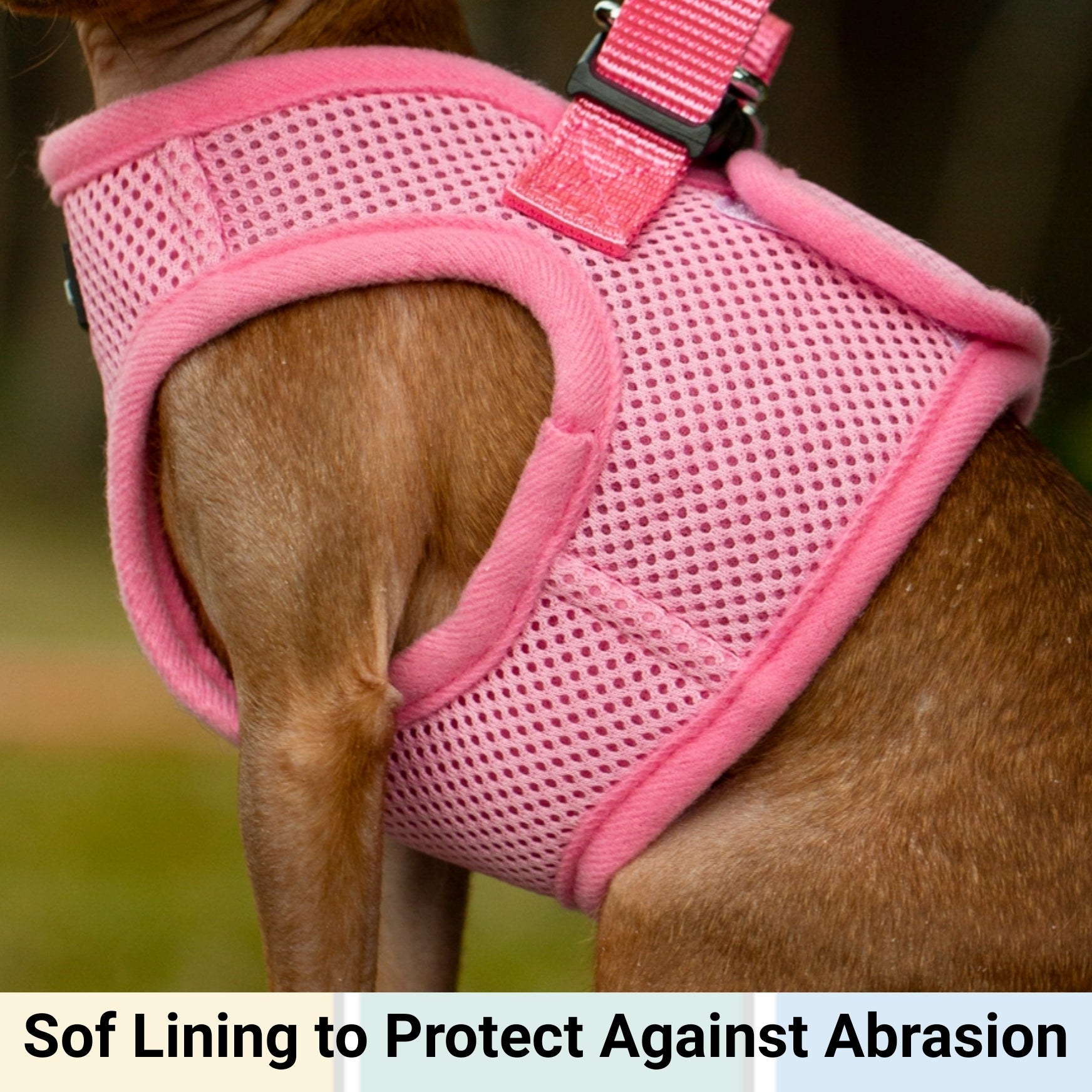 Mr. Peanut's PupTrek Soft Mesh Pet Harness with Matching Leash - Adjustable, Breathable, Choke-Free - gallery image 17