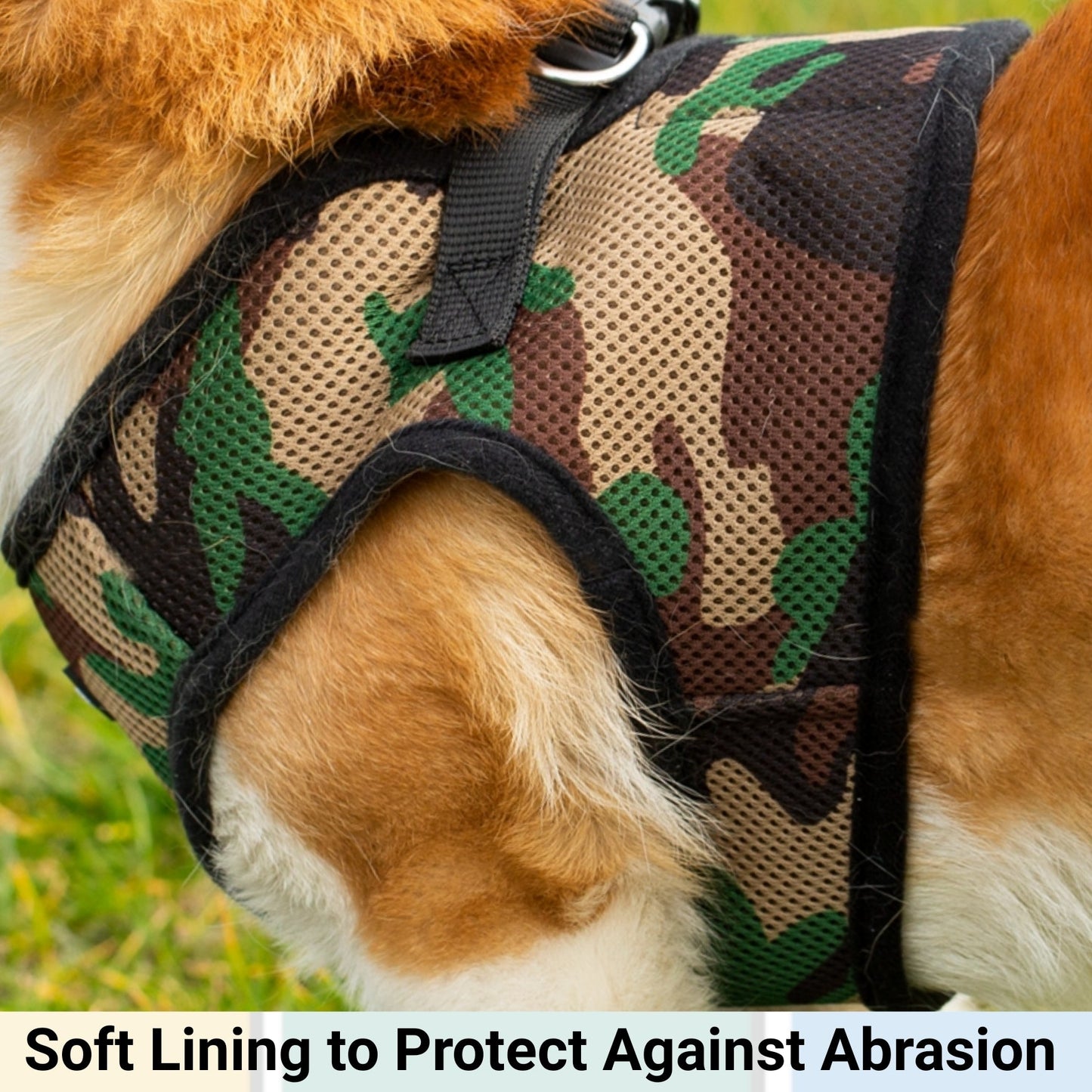 Mr. Peanut's PupTrek Soft Mesh Pet Harness with Matching Leash - Adjustable, Breathable, Choke-Free - gallery image 10