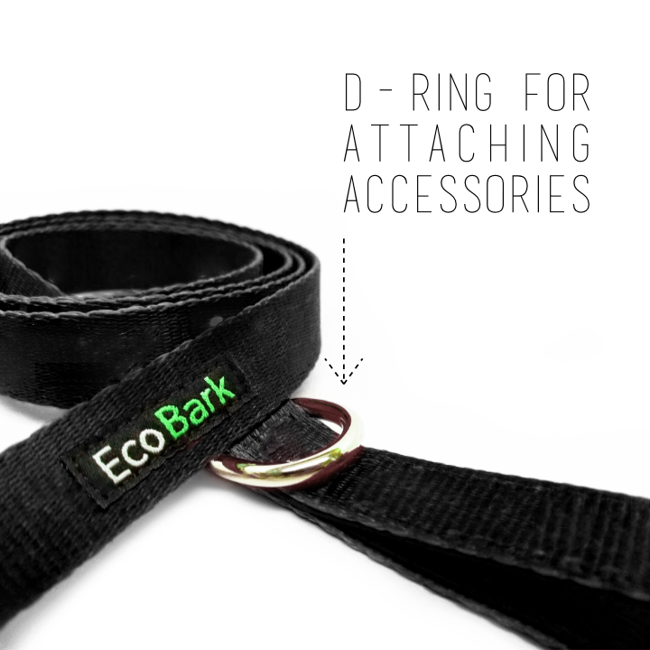 Eco Style Dog Leash for Daily Walks for Royal Pet Homes - Dog Leash view 3 from Purrfect Pet Kingdom