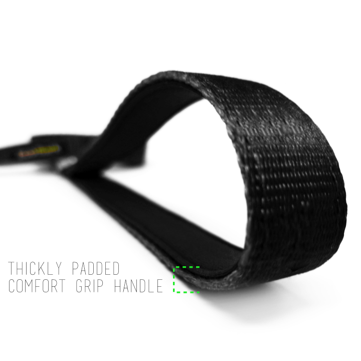 Eco Style Dog Leash for Daily Walks for Royal Pet Homes - Dog Leash view 5 from Purrfect Pet Kingdom