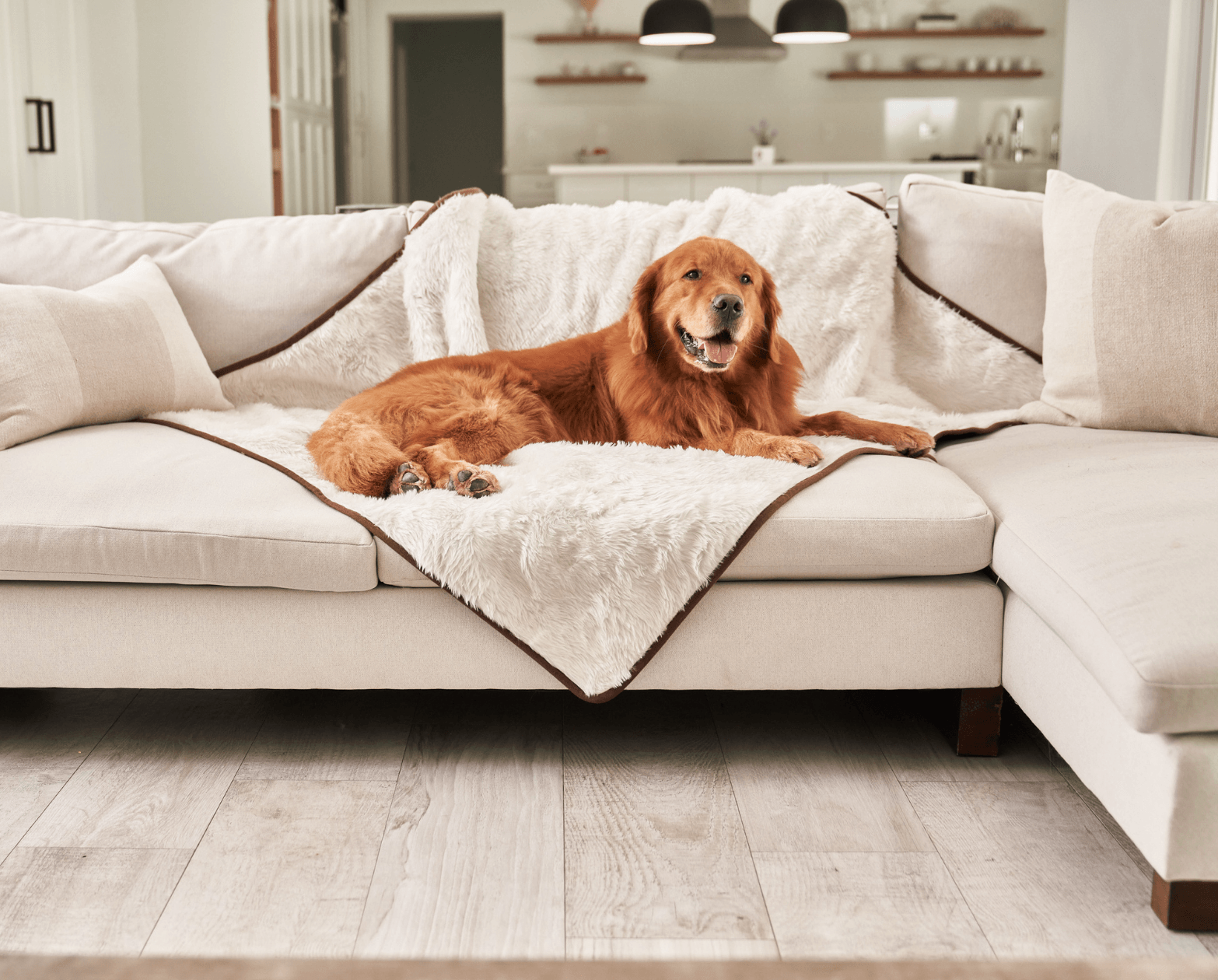 Pupprotector Summer Short Fur Waterproof Throw Blanket Pet - gallery image 8