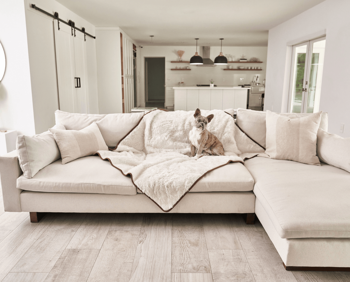 Pupprotector Summer Short Fur Waterproof Throw Blanket Pet - detail view