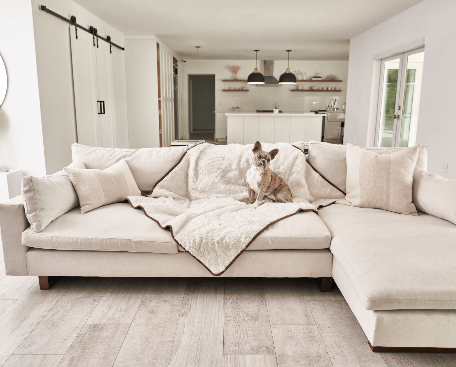 Pupprotector Summer Short Fur Waterproof Throw Blanket Pet - detail view