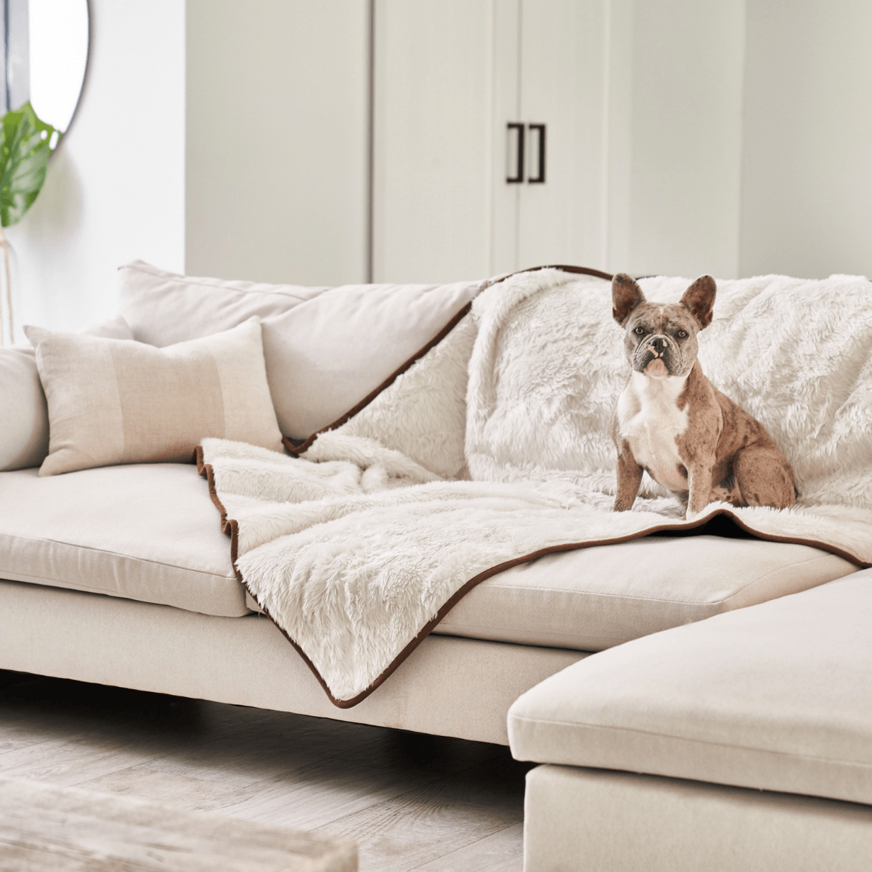 Pupprotector Summer Short Fur Waterproof Throw Blanket Pet - gallery image 10