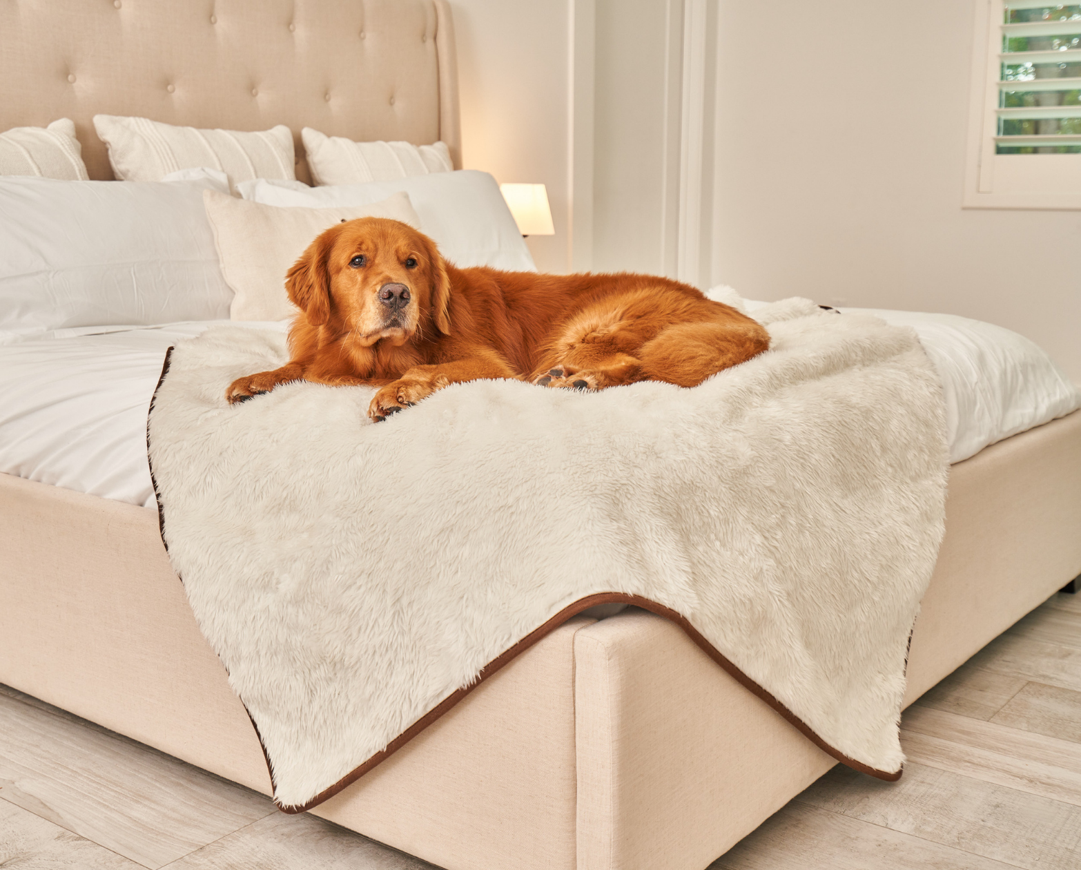Pupprotector Summer Short Fur Waterproof Throw Blanket Pet - gallery image 11