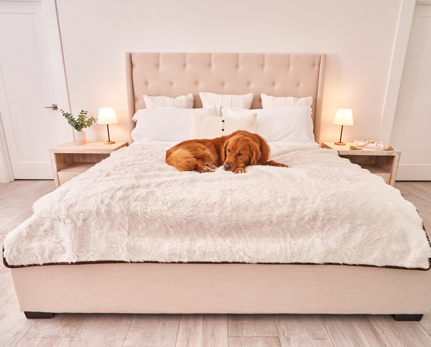 Pupprotector Summer Short Fur Waterproof Throw Blanket Pet - gallery image 12