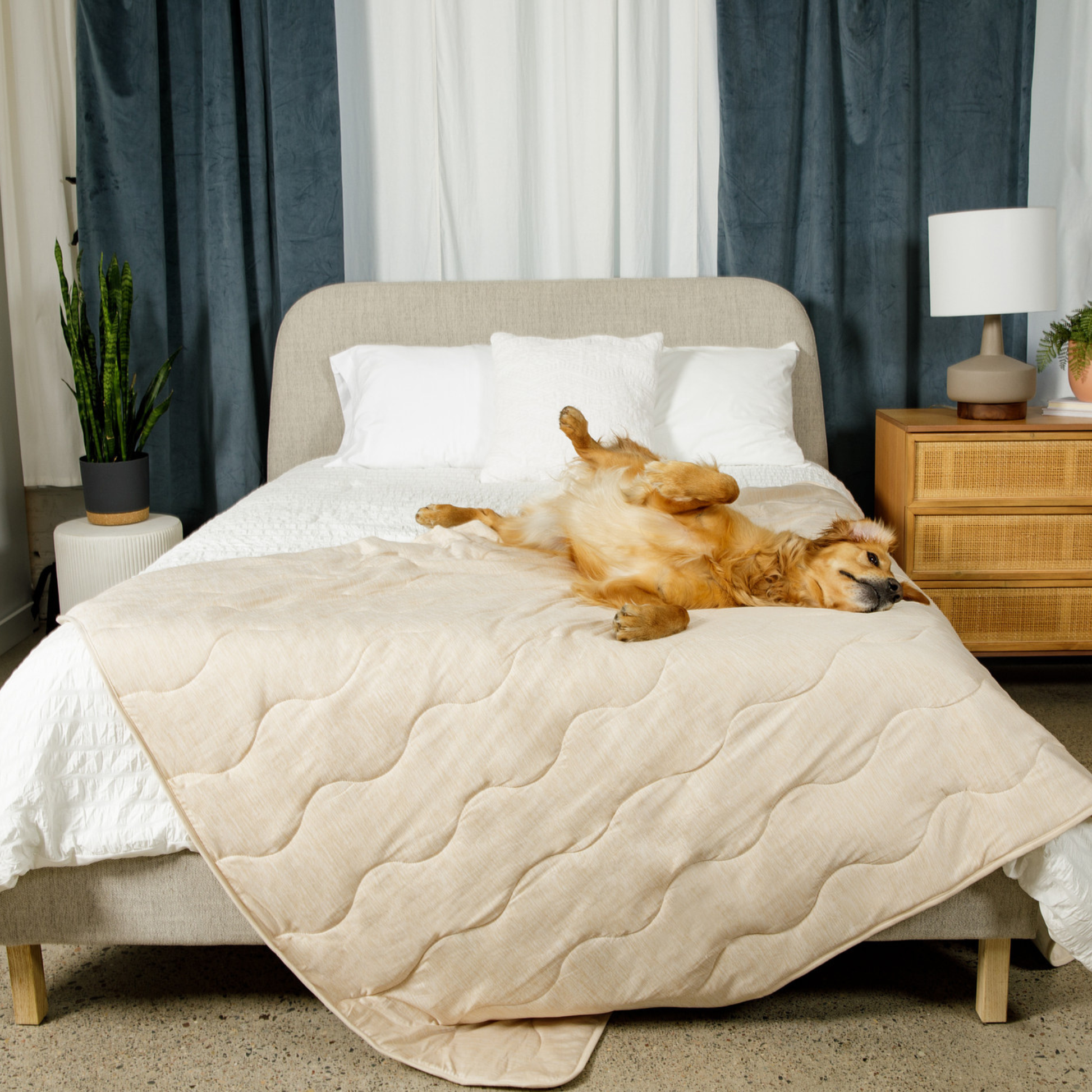 Pupchill Cooling Waterproof Blanket Arctic Sand Washable - gallery image 6