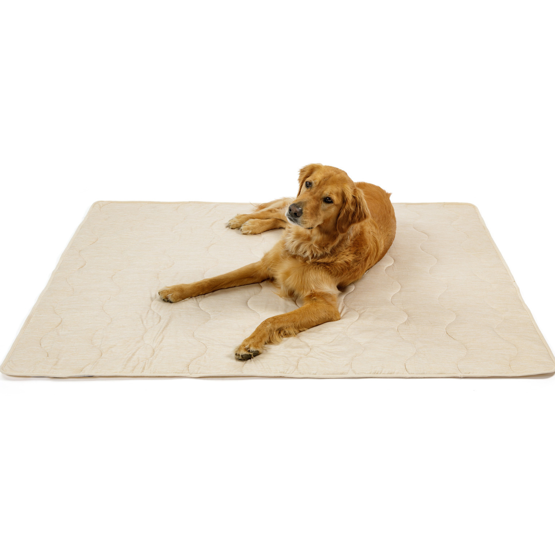 Pupchill Cooling Waterproof Blanket Arctic Sand Washable - gallery image 11