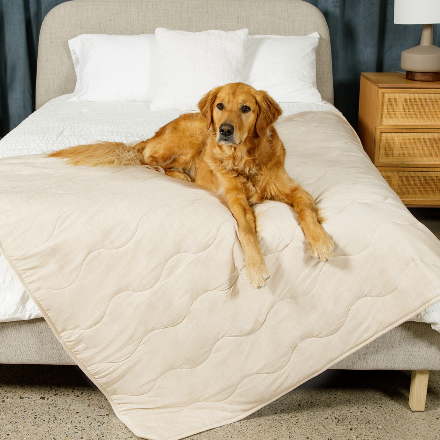 Pupchill Cooling Waterproof Blanket Arctic Sand Washable - gallery image 5