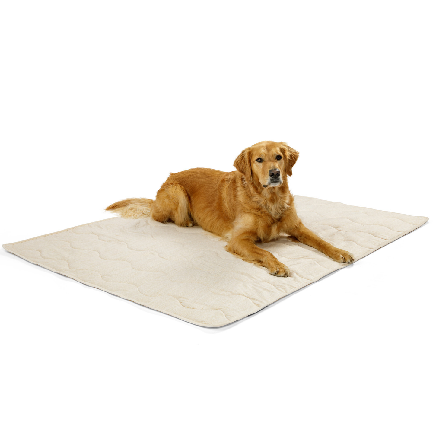 Pupchill Cooling Waterproof Blanket Arctic Sand Washable - gallery image 10