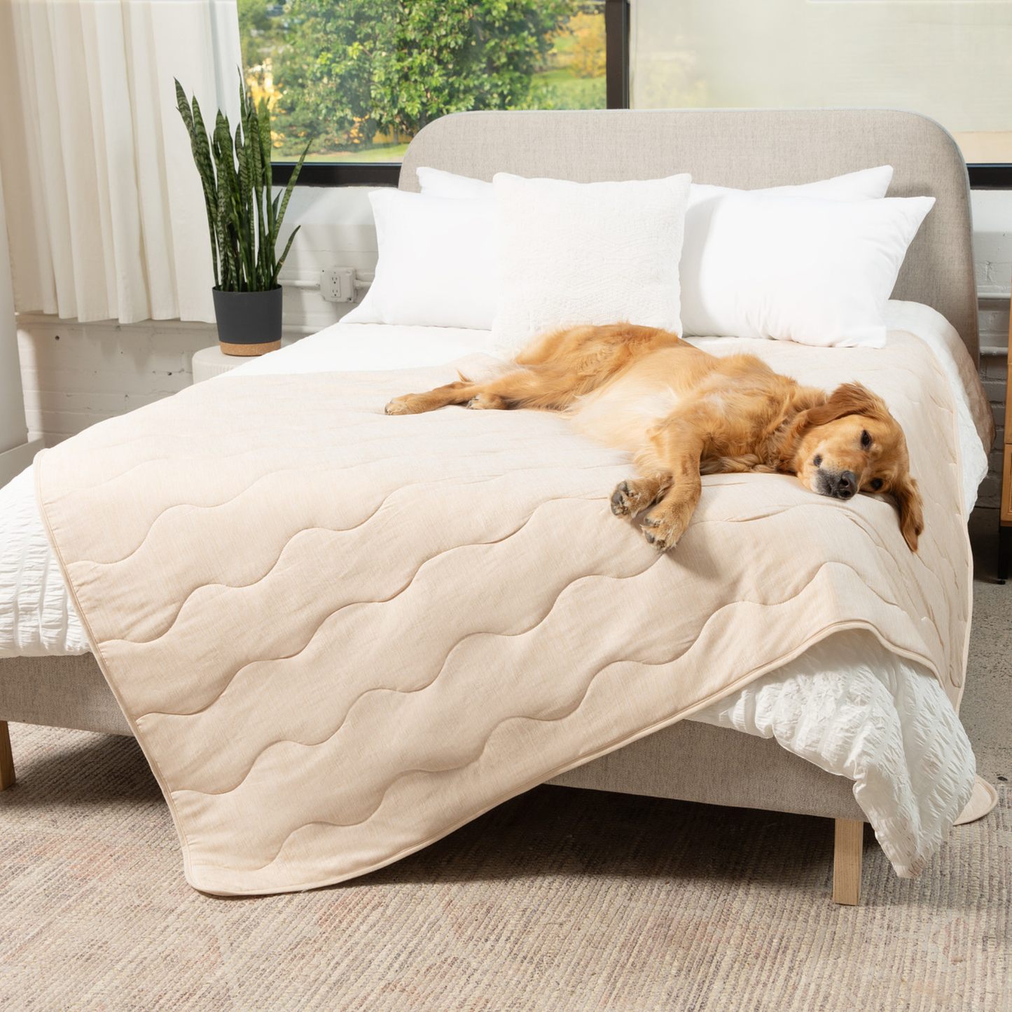 Pupchill Cooling Waterproof Blanket Arctic Sand Washable - gallery image 12