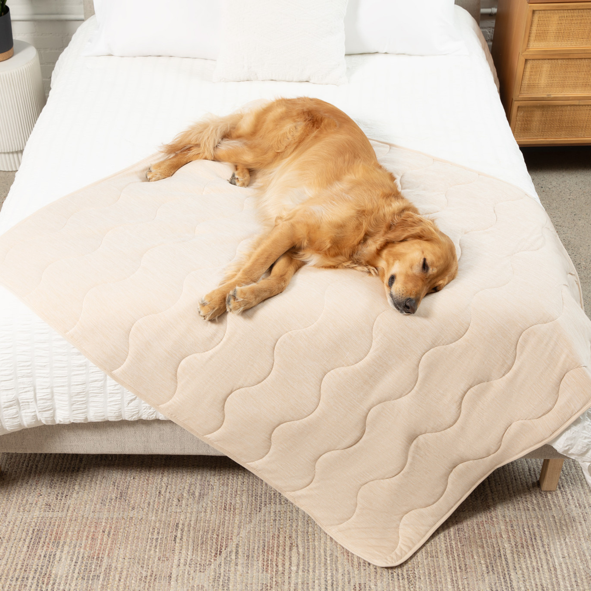 Pupchill Cooling Waterproof Blanket Arctic Sand Washable - gallery image 13