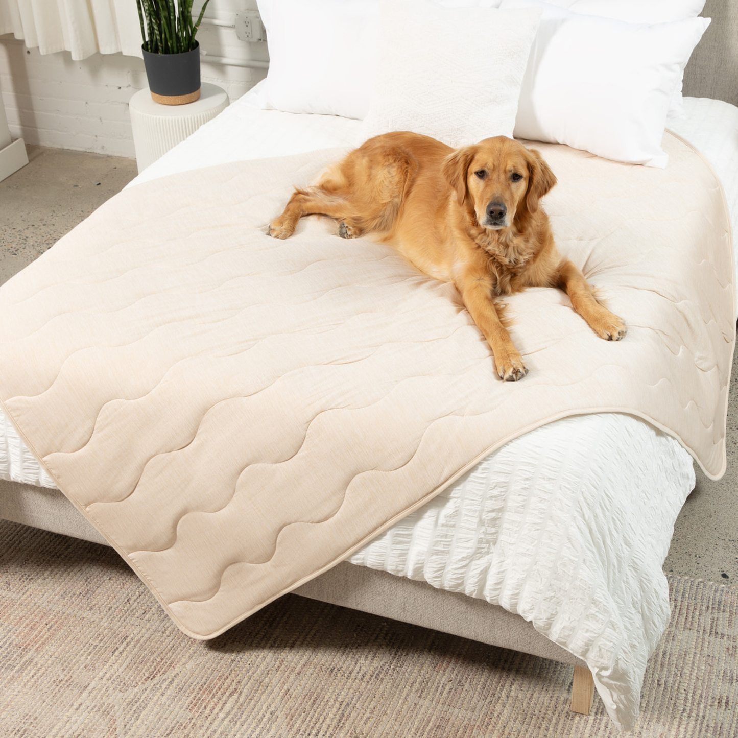Pupchill Cooling Waterproof Blanket Arctic Sand Washable - lifestyle view