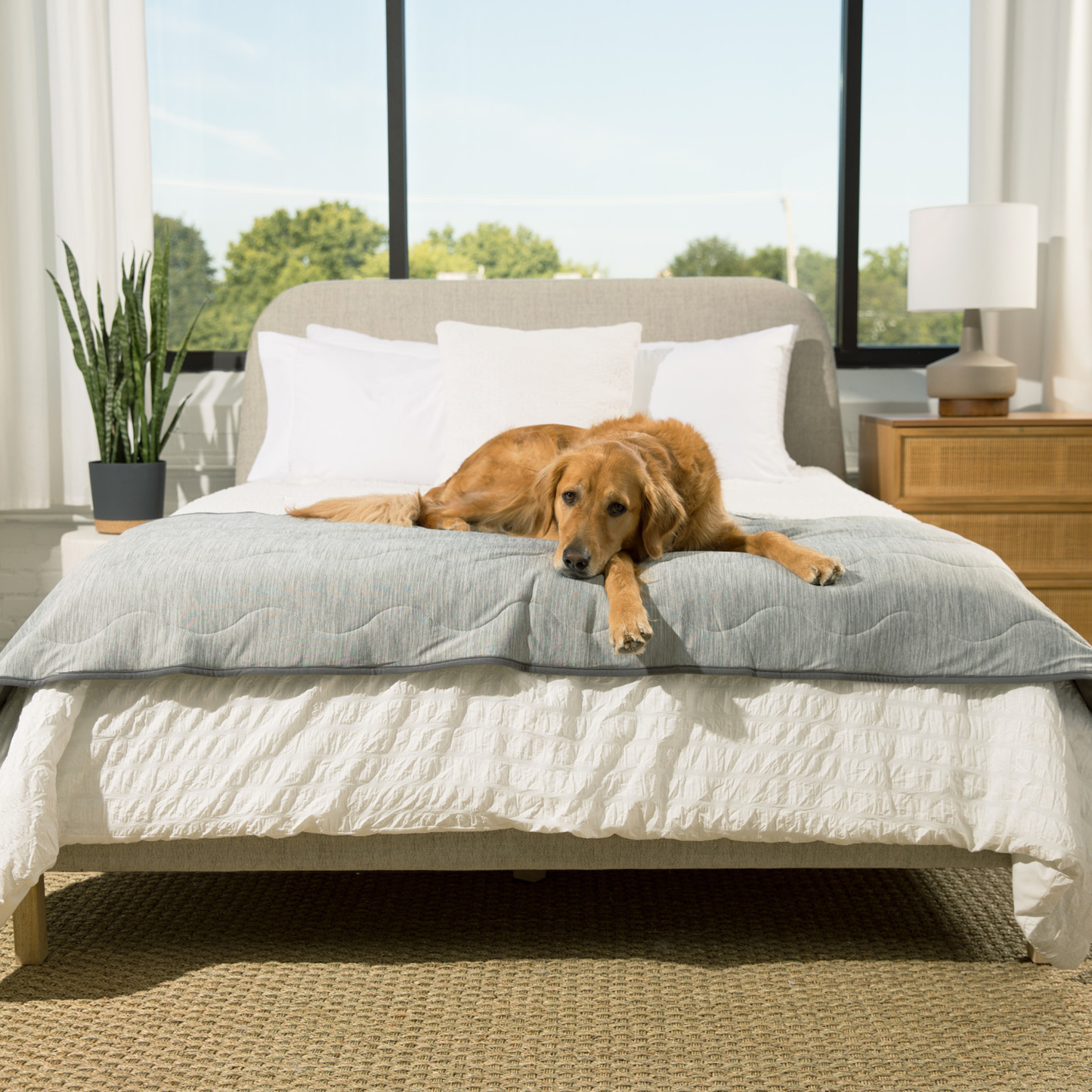 PupChillT Cooling Waterproof Runner Blanket - Arctic Grey - gallery image 5