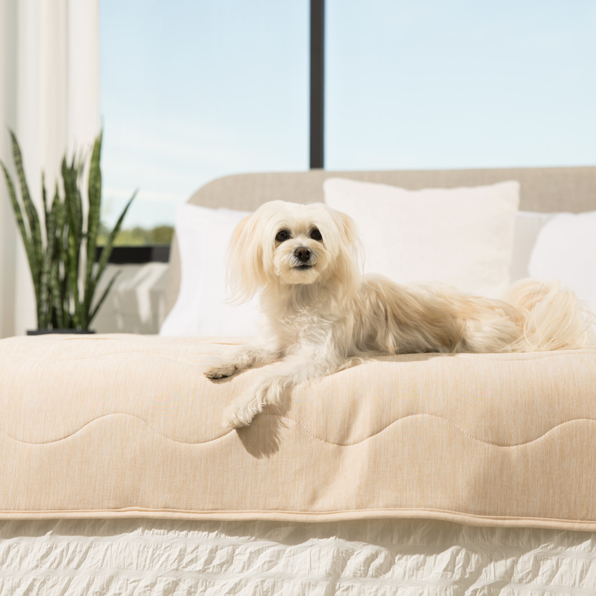 PupChillT Cooling Waterproof Runner Blanket - Arctic Sand - close up view
