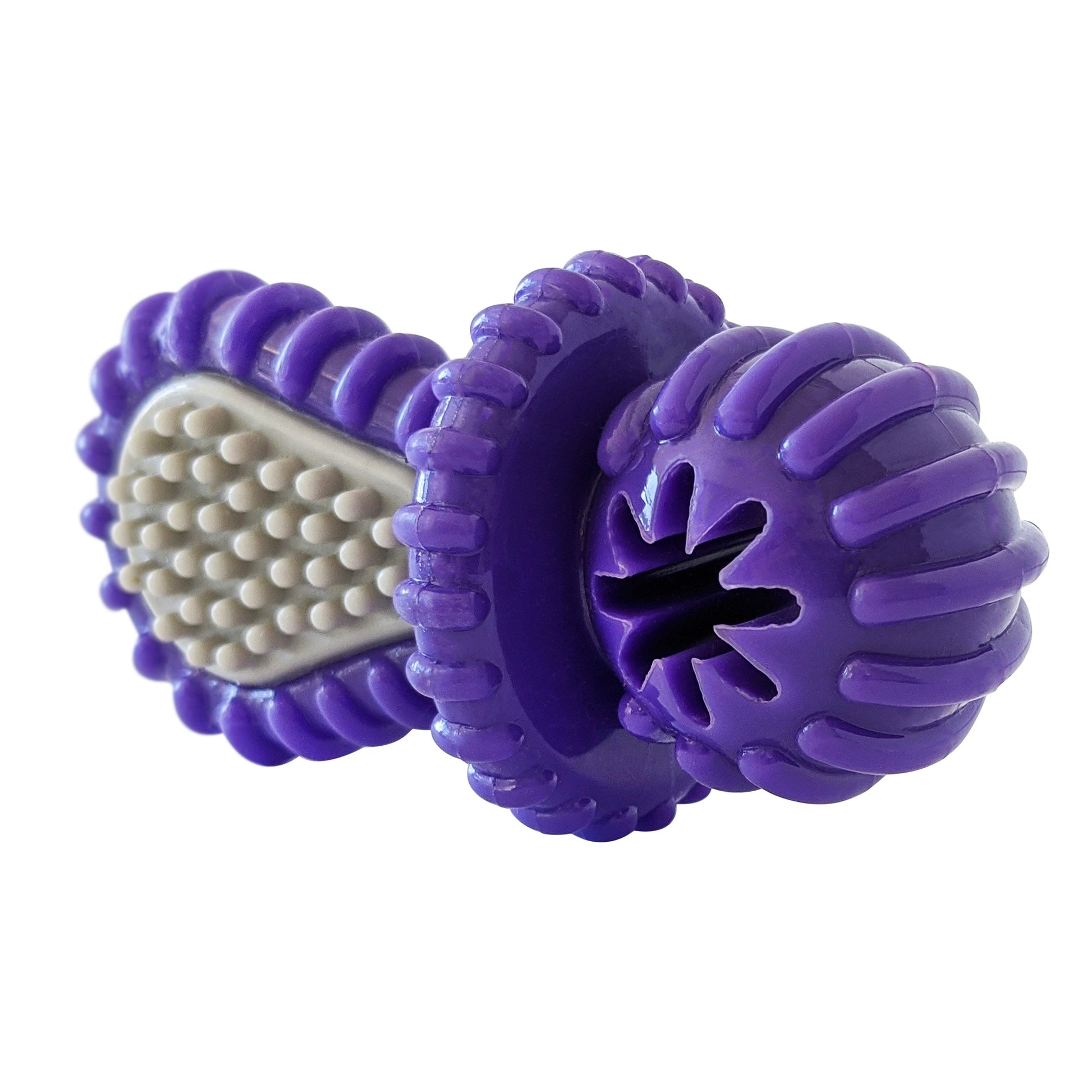 Dog Treats Purple Rubber Dental Pacifier Toy Ridges Treat - lifestyle product image for dog treats