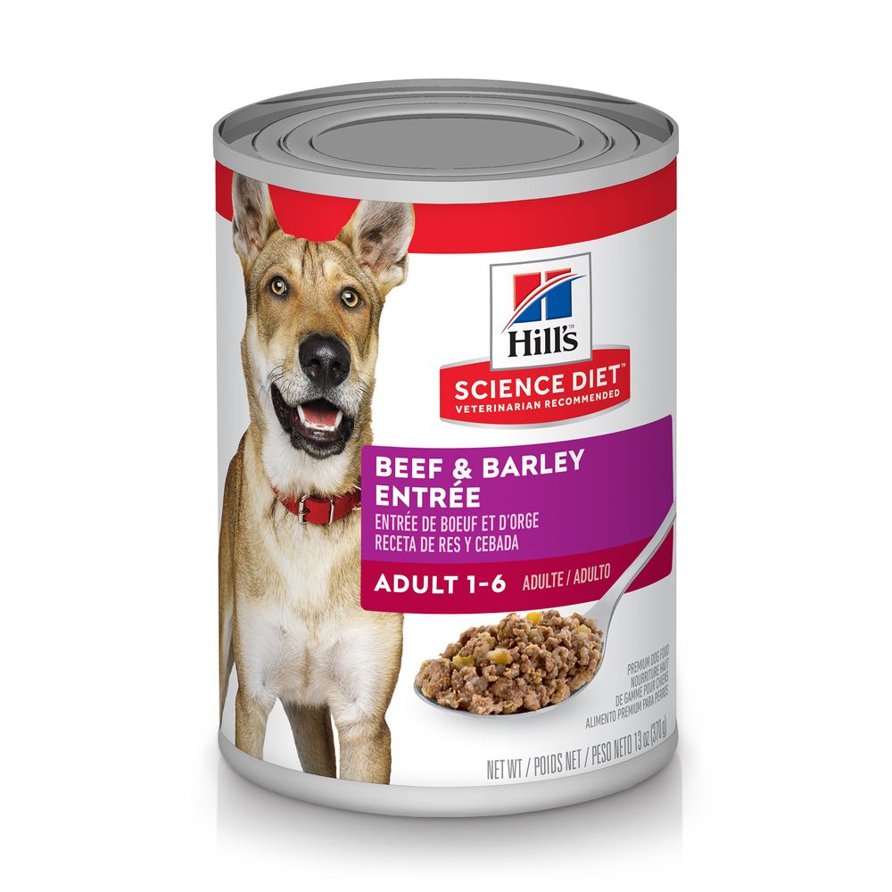 Science Diet Adult Beef Barley Entree 13Oz Wet Dog Food - main product image